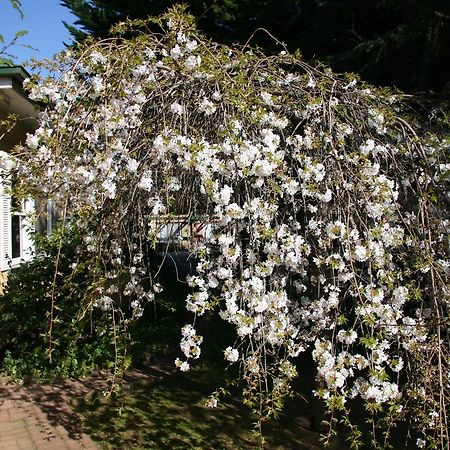 Carawatha Gardens Villa Bright Bagian luar foto