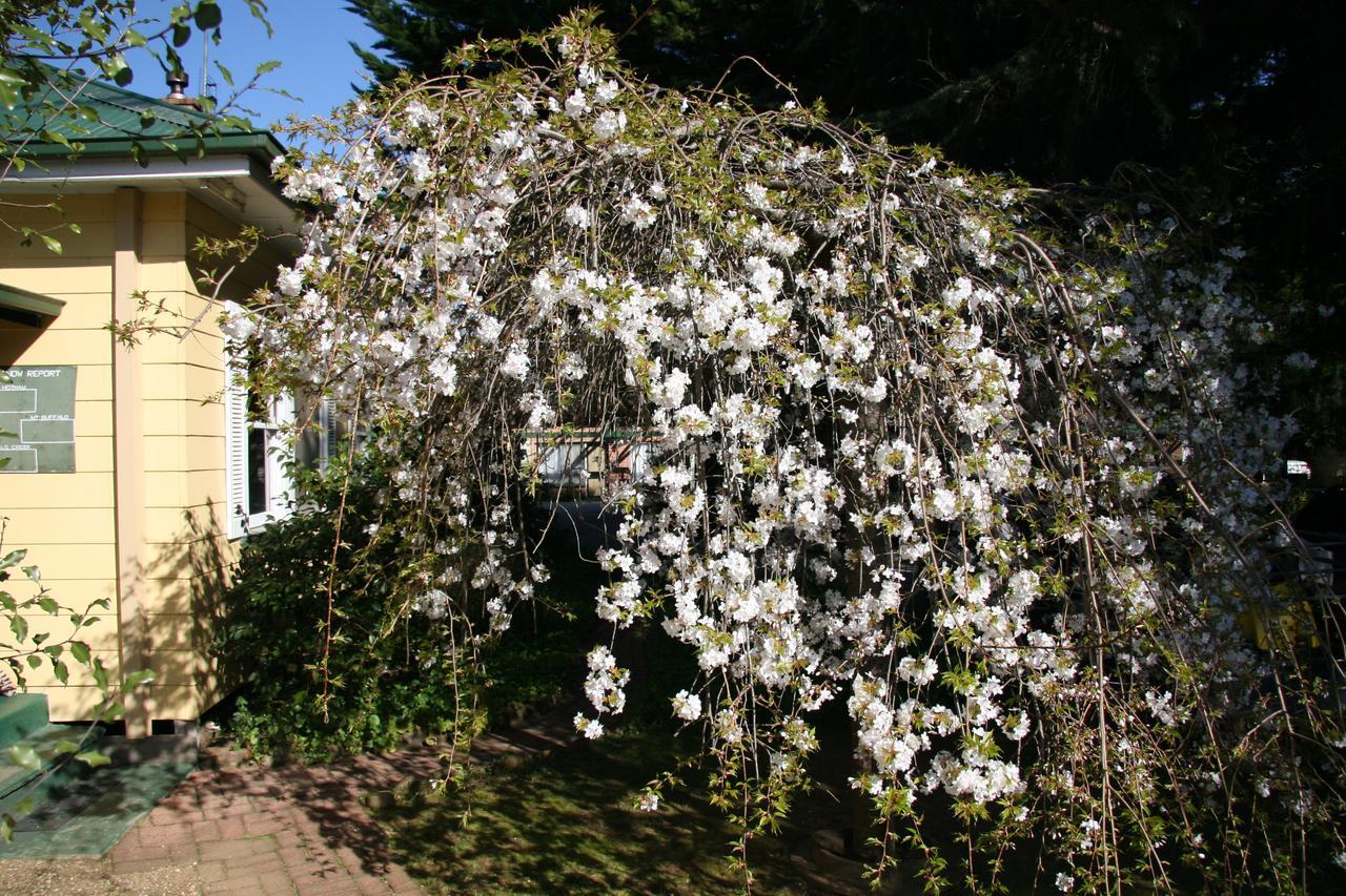 Carawatha Gardens Villa Bright Bagian luar foto