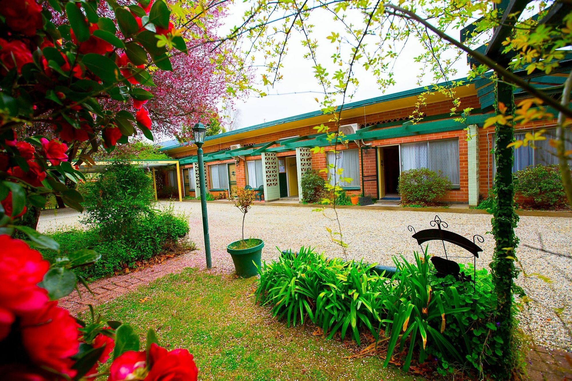 Carawatha Gardens Villa Bright Bagian luar foto