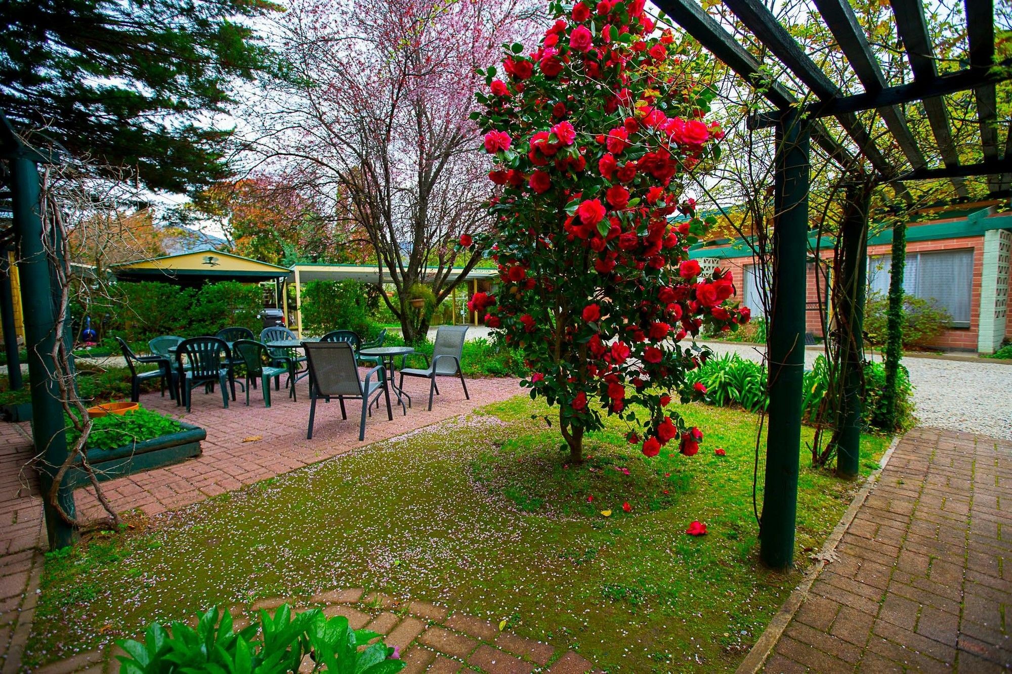 Carawatha Gardens Villa Bright Bagian luar foto